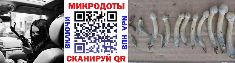 OMG ССЫЛКА  наркошоп  Ногинск  Галлюциногенные грибы Psilocybine cubensis 